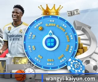 wangyi-kaiyun.com APP 深度功能