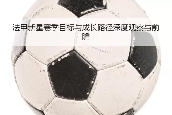 法甲新星赛季目标与成长路径深度观察与前瞻