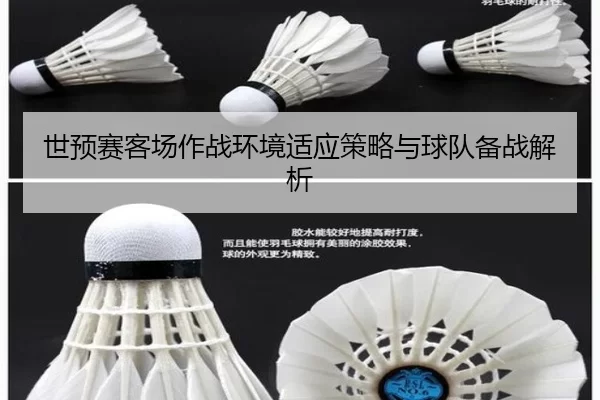 世预赛客场作战环境适应策略与球队备战解析（kaiyun）
